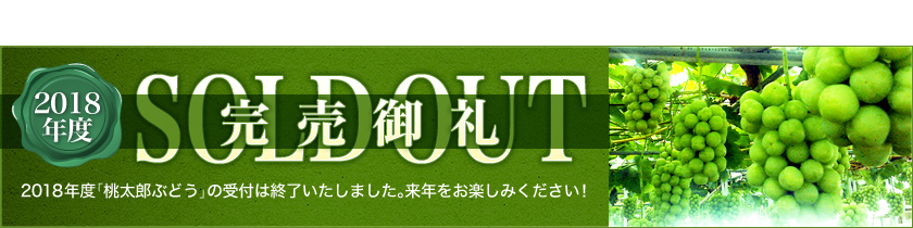 2018年度「桃太郎ぶどう」の受付は終了いたしました。