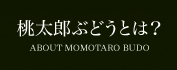 桃太郎ぶどうとは？
