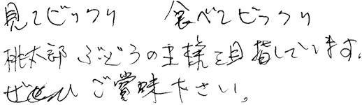 見てビックリ、食べてビックリ。桃太郎ぶどうの王様を目指しています。ぜひ、ご賞味下さい。