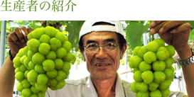 生産者の紹介